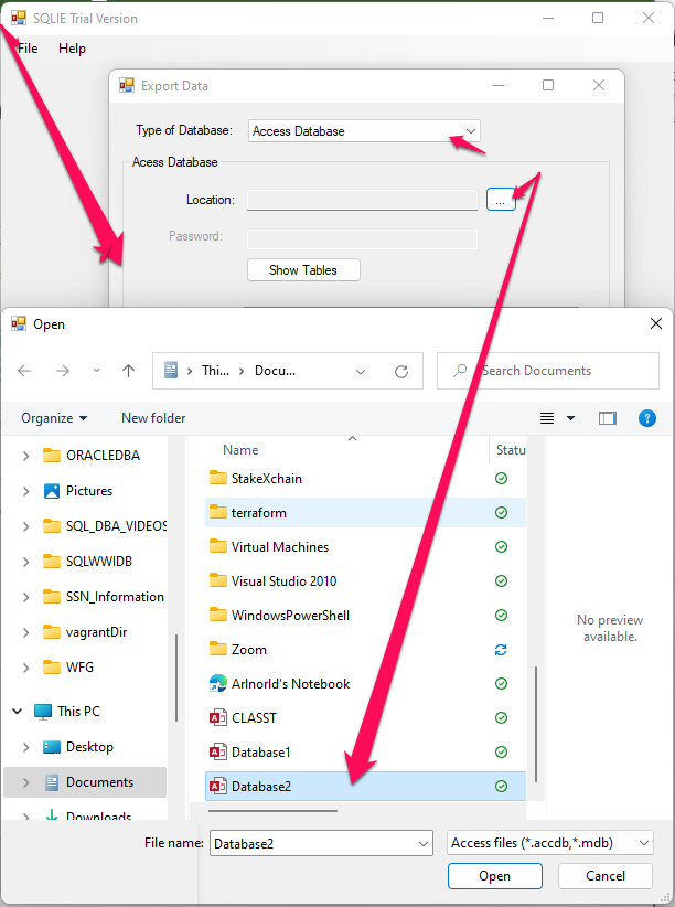 Export Data from Access